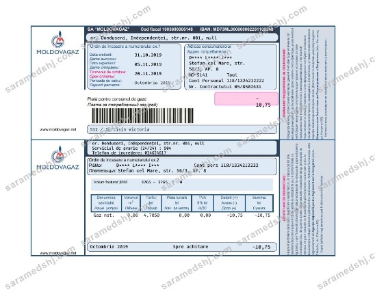 Moldova Moldovagaz utility bill template in Word and PDF format